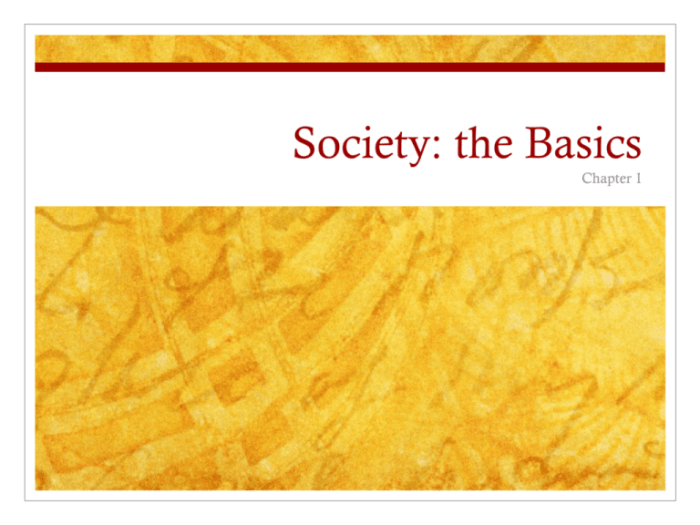 Society the basics 15th edition free