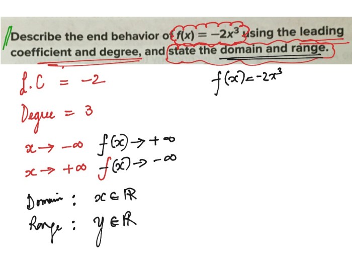 End behavior of polynomials worksheet