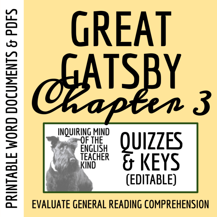 Great gatsby chapter one quiz