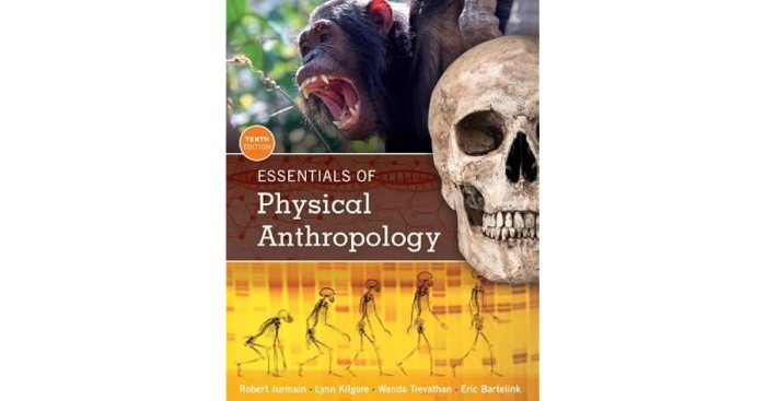 Essentials of cultural anthropology pdf