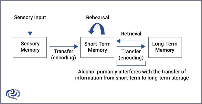 Alcohol plus blank affects short-term memory and tracking ability