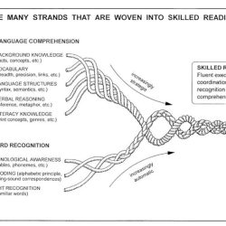 Letrs unit 4 session 7 check for understanding