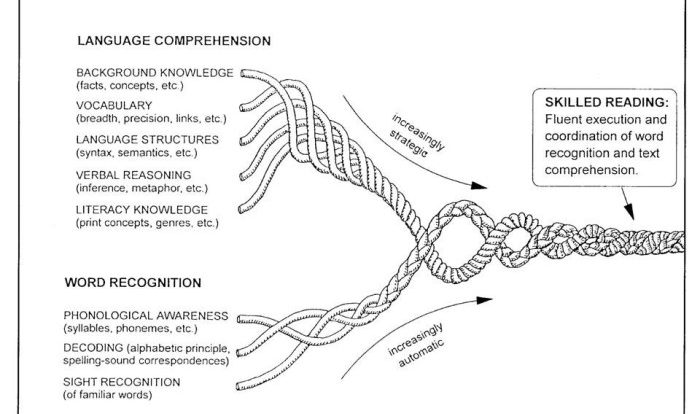 Letrs unit 4 session 7 check for understanding