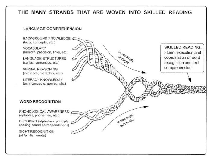 Letrs unit 4 session 7 check for understanding